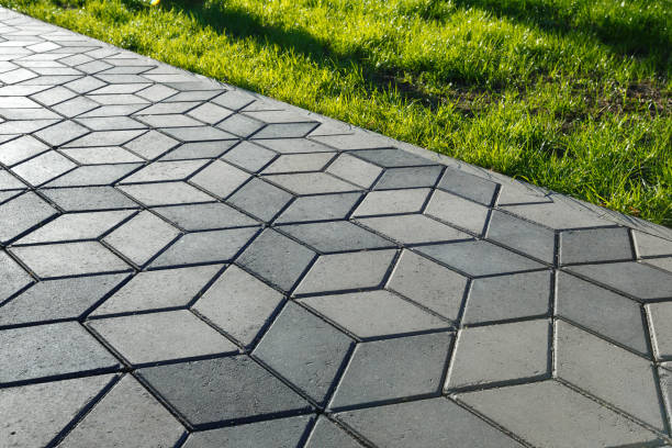 Best Commercial Driveway Pavers  in Ben Bolt, TX