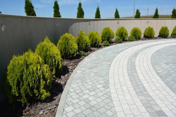 Best Decorative Driveway Pavers  in Ben Bolt, TX
